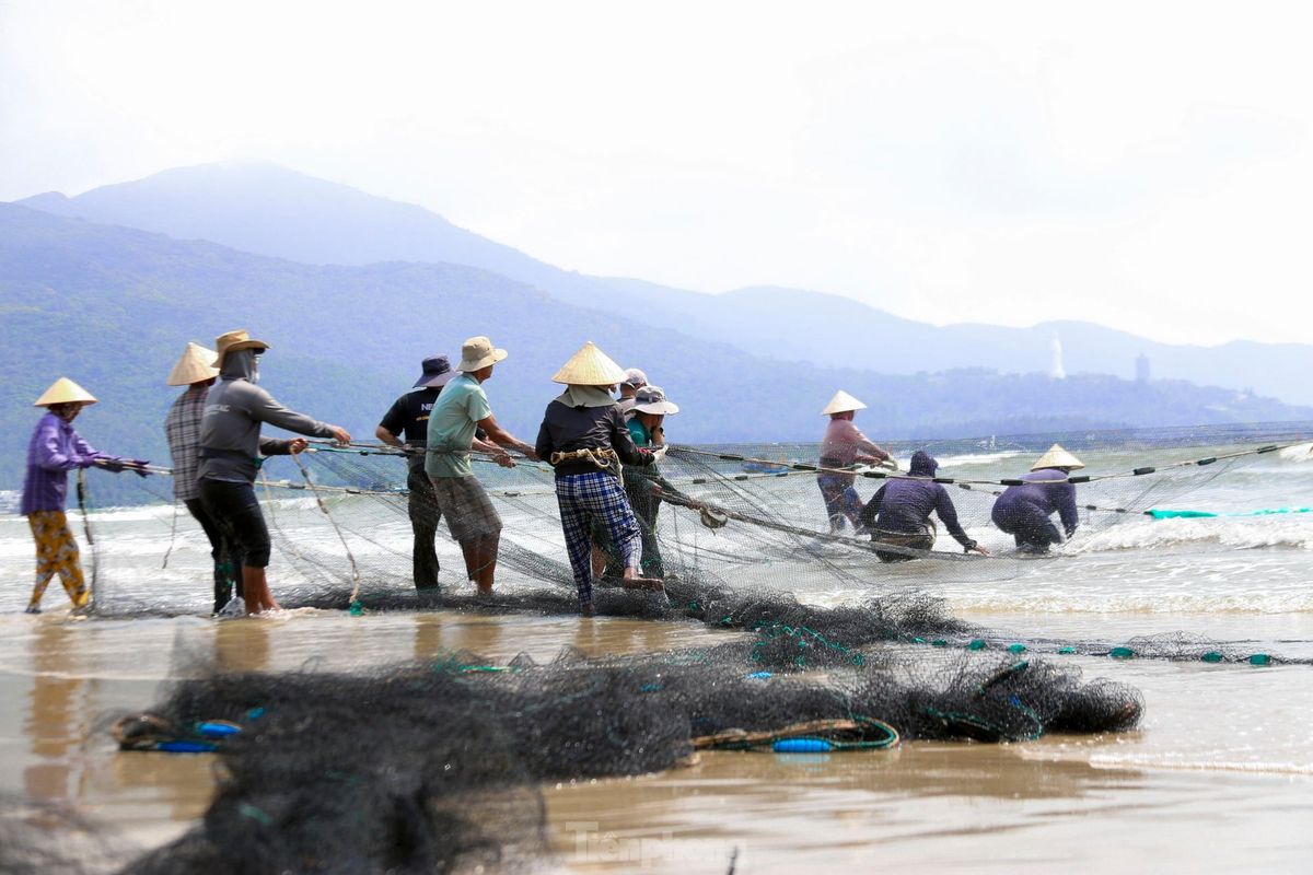 BRIN Ungkap Penguatan Upwelling Selatan Jawa Tingkatkan Potensi Ikan