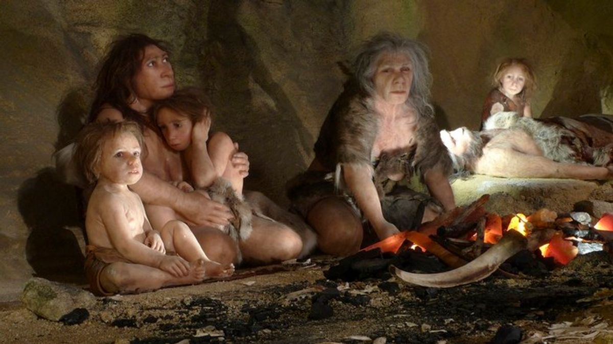 Balita Neanderthal Tumbuh Lebih Cepat untuk Bertahan di Iklim Ekstrem