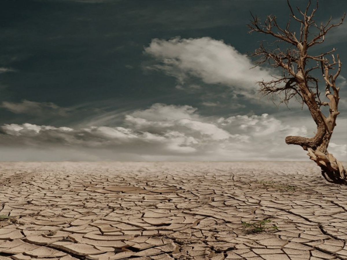 Pakar Unair Ingatkan Mitigasi Fenomena El Nino Godzilla Tahun 2026