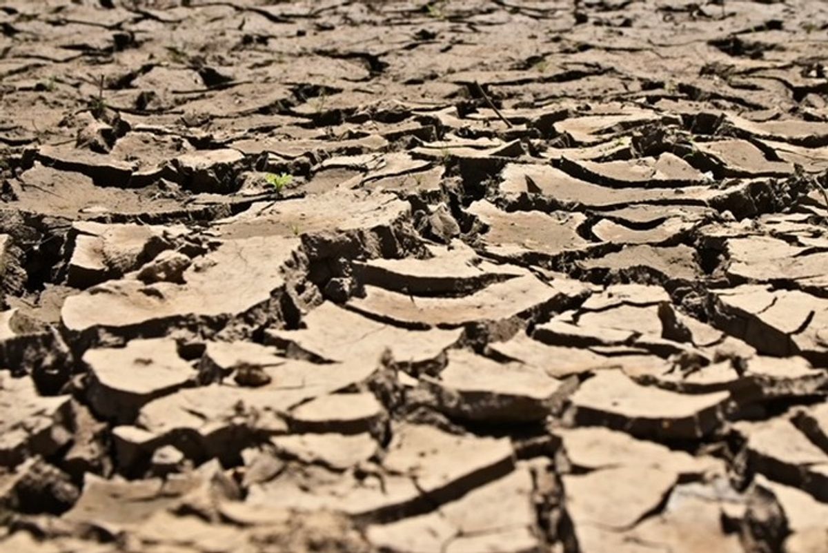 Fenomena Pemanasan Anular Pasifik Picu Potensi Super El Nino 2026