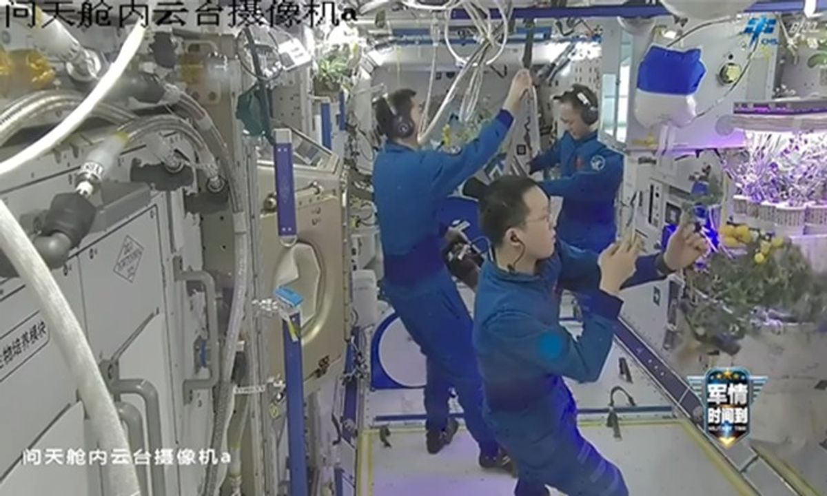 Astronaut China Panen Tomat dari Sistem Aeroponik di Stasiun Tiangong