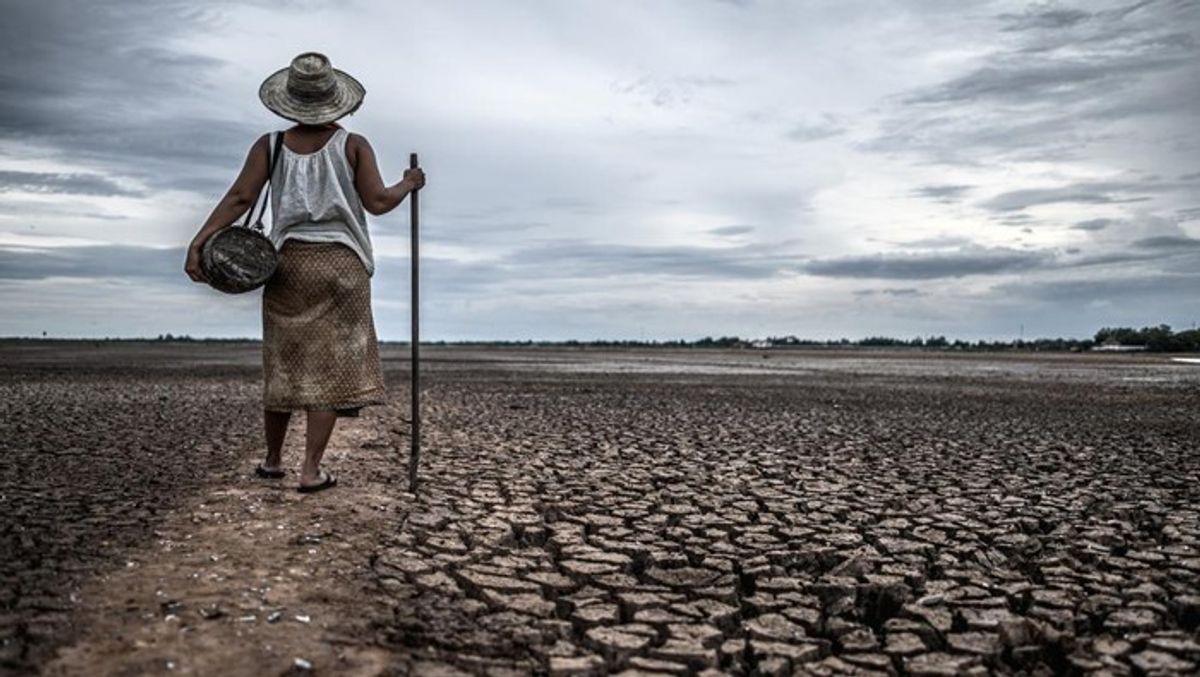 BRIN Bantah Narasi El Nino 2026 Sebabkan Kematian Langsung