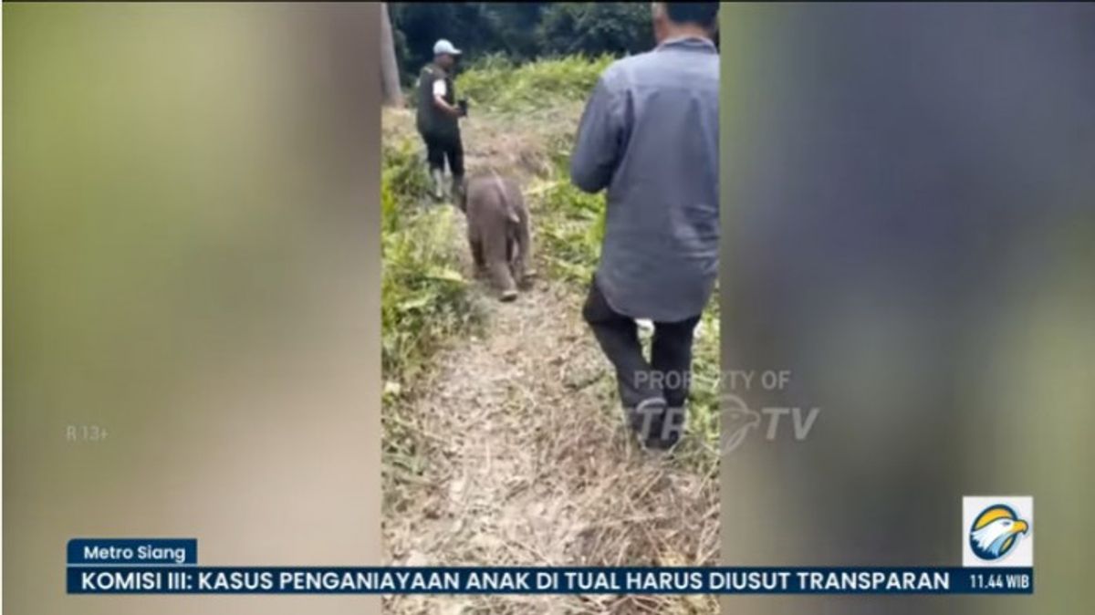 Pakar IPB Sebut Kemunculan Satwa Langka Akibat Fragmentasi Habitat