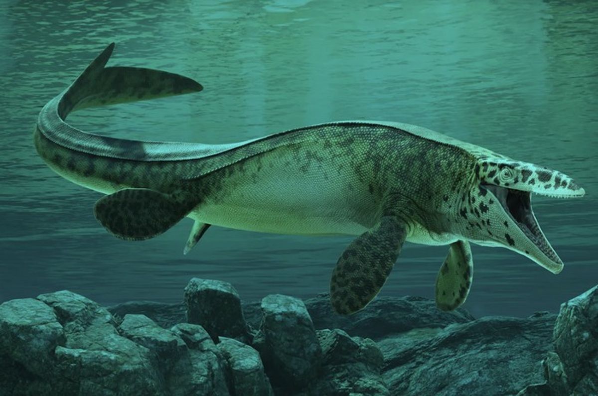 Ilmuwan Temukan Tylosaurus Rex Spesies Mosasaurus Raksasa Penguasa Lautan Purba