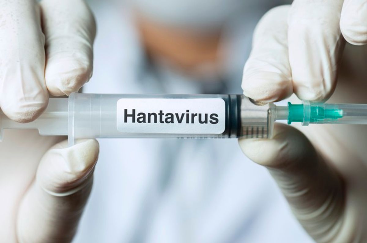 Perubahan Iklim Tingkatkan Risiko Penularan Hantavirus ke Manusia