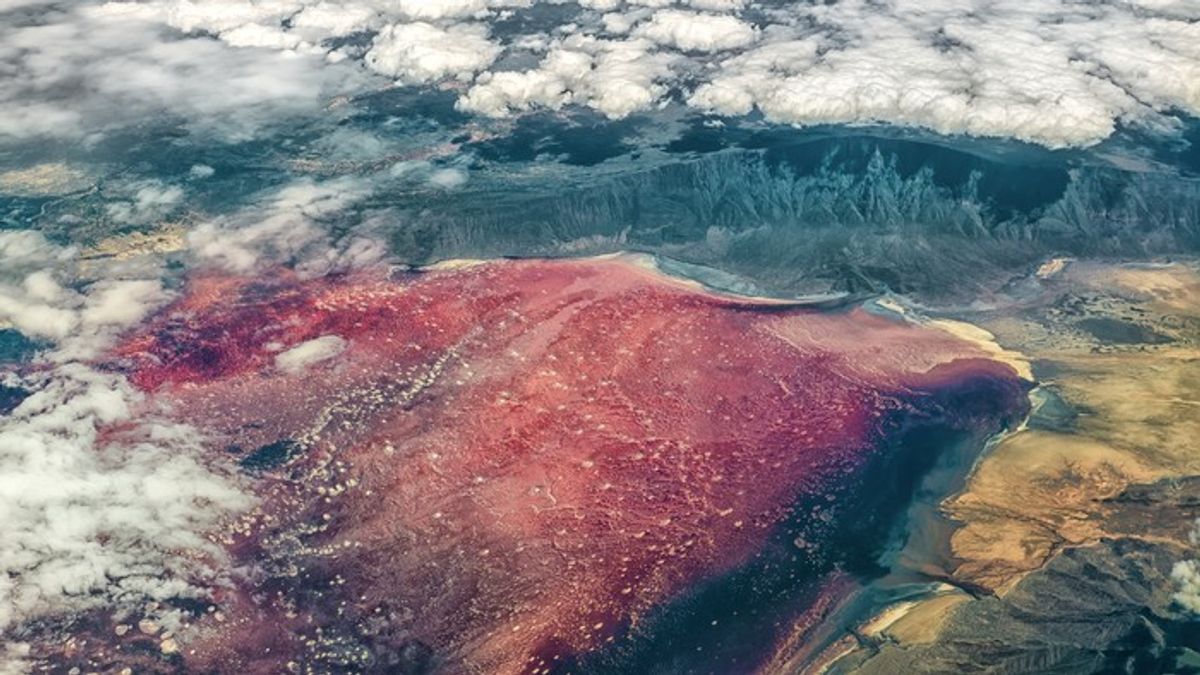 Danau Natron Tanzania Mampu Mengawetkan Bangkai Hewan Menjadi Mumi