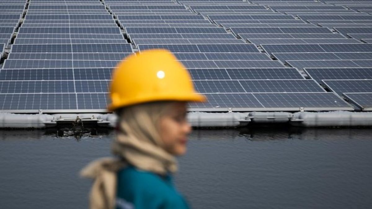 PLN Indonesia Power Gandeng DevvStream Kembangkan PLTS Off-Grid
