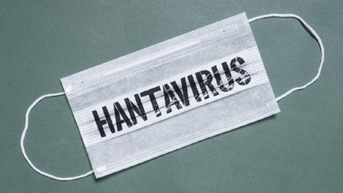 Gavi Peringatkan Potensi Pandemi Hantavirus Akibat Penularan Antarmanusia