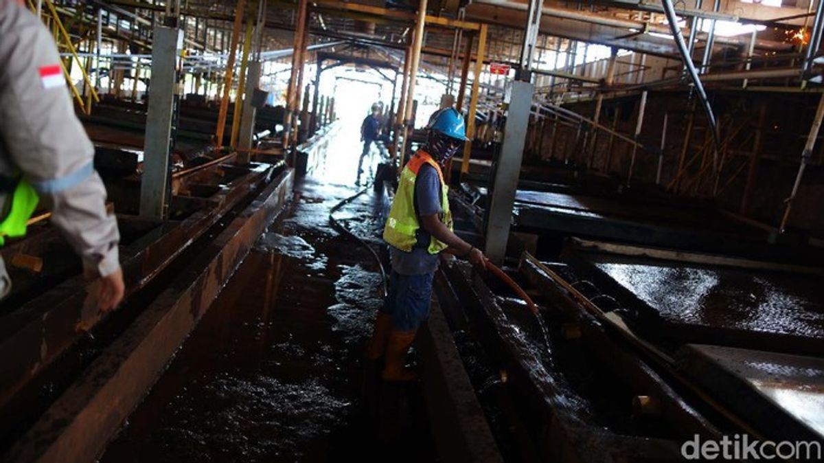 Pemerintah Siapkan Pilot Proyek Hilirisasi Logam Tanah Jarang di Mamuju