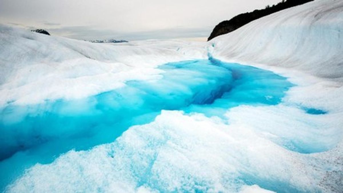 Megatsunami Alaska Setinggi 481 Meter Melanda Fyord Tracy Arm