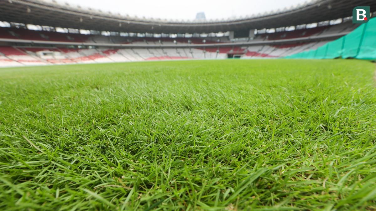 PSSI Bantah Minta Perbaikan Rumput Stadion Utama Gelora Bung Karno