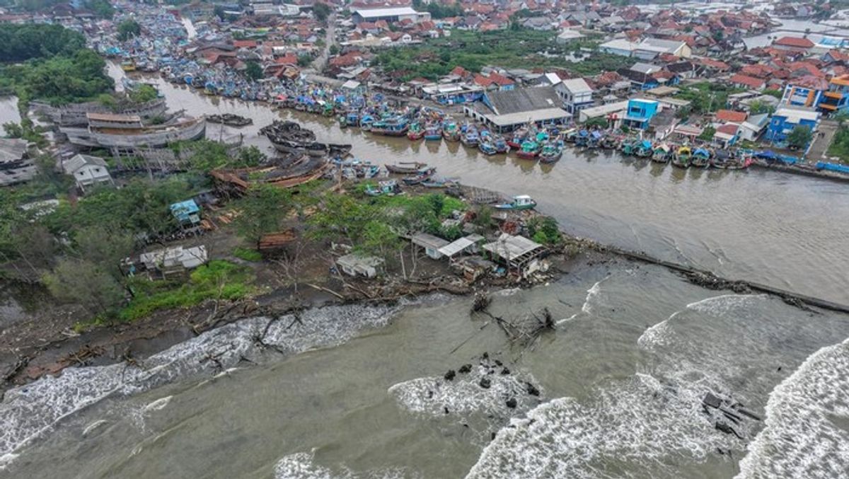 BRIN Ungkap Abrasi Gerus 65 Persen Garis Pantai Utara Jawa