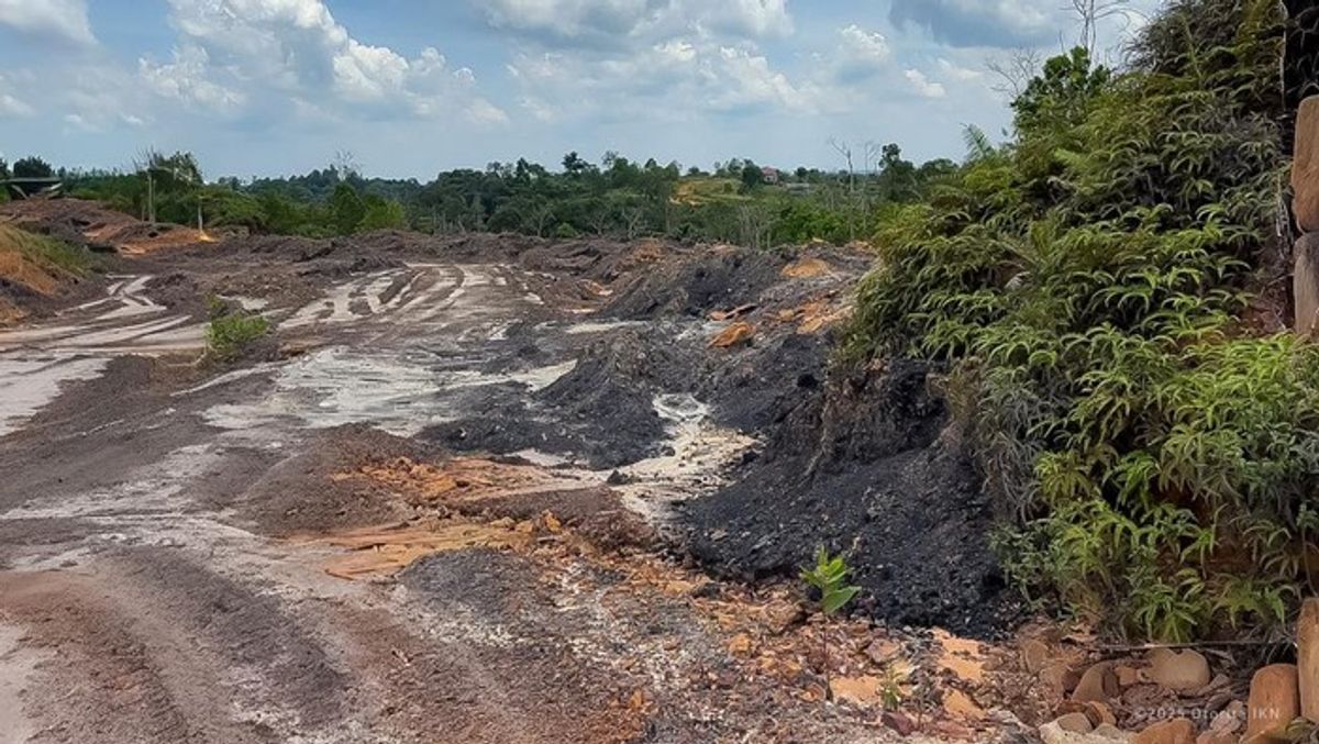 Otorita IKN Tindak Tegas Aktivitas Ilegal di Kawasan Hutan Konservasi