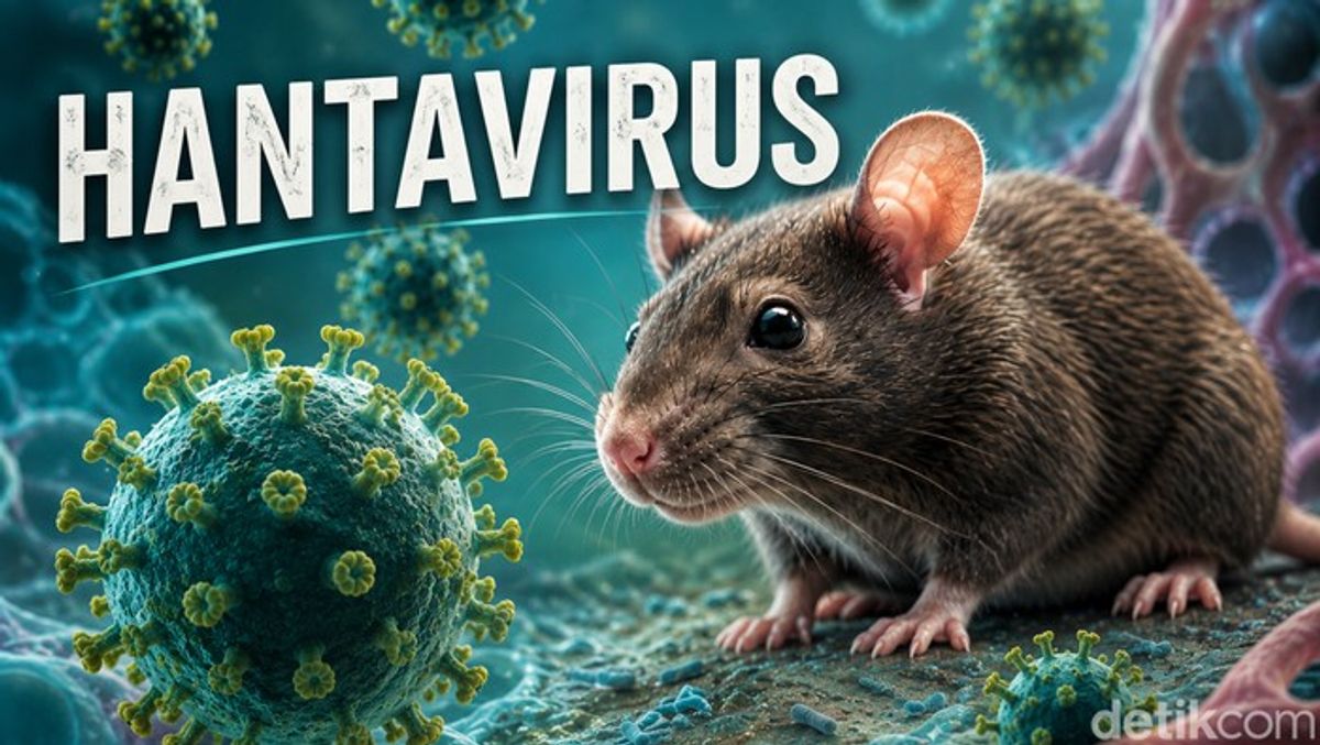 WHO Konfirmasi Temuan Kasus Hantavirus di Kapal Pesiar MV Hondius