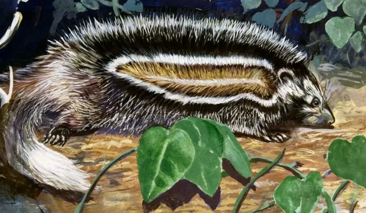 Tikus Berjambul Afrika Simpan Racun Tanaman untuk Lumpuhkan Pemangsa