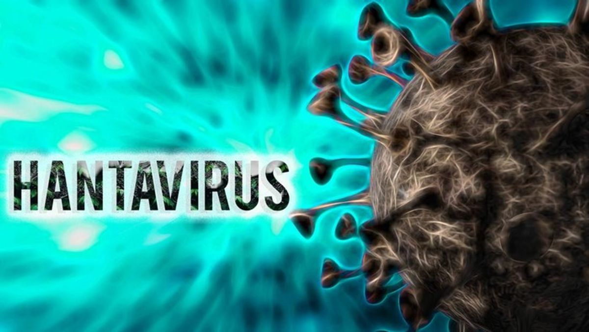 Wabah Virus Andes Serang Kapal Pesiar MV Hondius di Atlantik