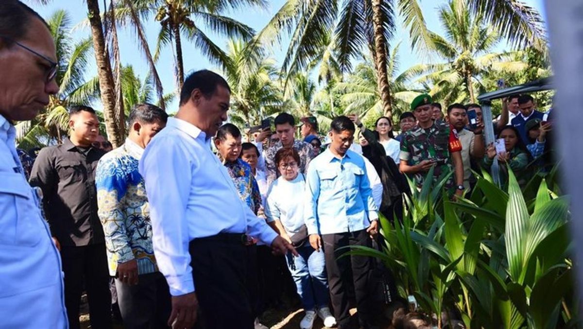 Mentan Temukan Benih Kelapa Tidak Layak Saat Sidak di Manado